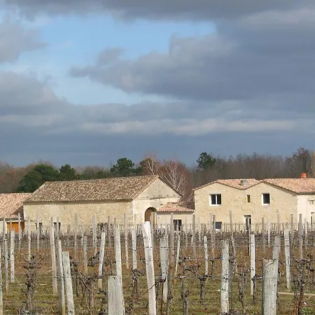 Les Secrets De Tifayne