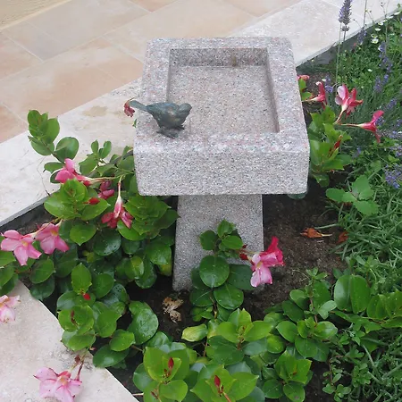 Les Secrets De Tifayne Bed and Breakfast 3*