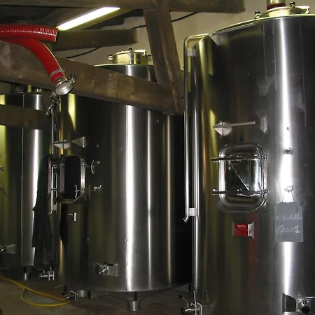 Les Secrets De Tifayne Puisseguin