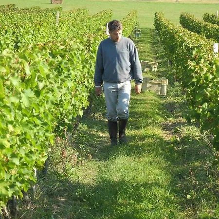 Nocleg ze śniadaniem Les Secrets De Tifayne