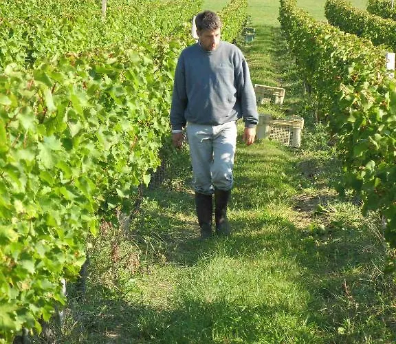 Panzió Les Secrets De Tifayne